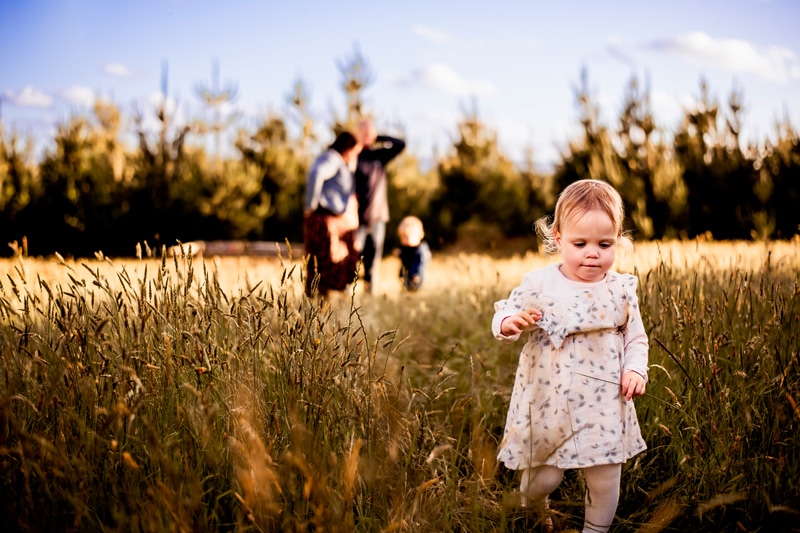 Family Photographer, a toddler explores in the dry grass away from her family behind her