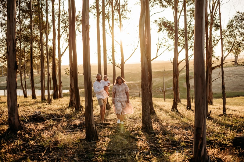 Family Photographer, a young family walks through a patch of tall trees, the sun shines behind them